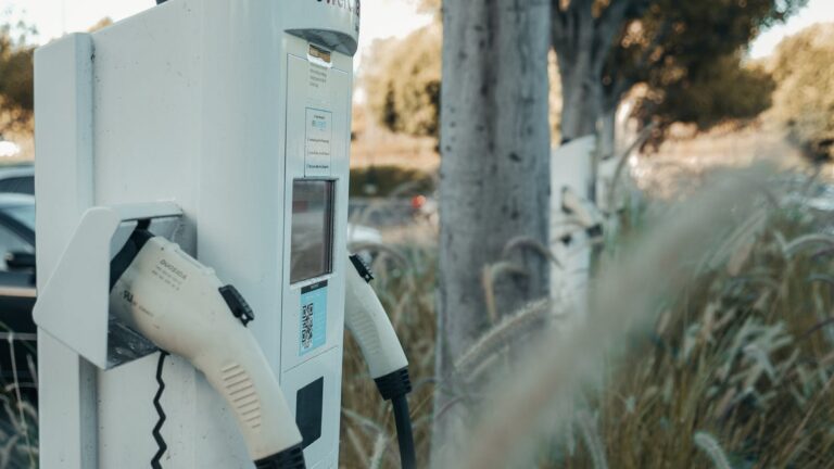 cold dawn landscape people