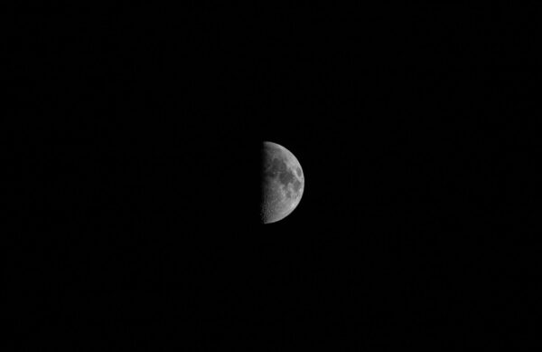 Quick Shots-314